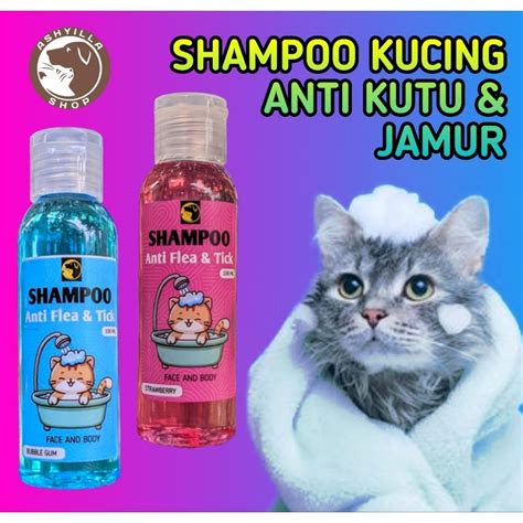 Detiksport Sepakbola beli shampoo kucing sambil riset kata kunci menyelinap di bayangan pemain tim higgs sebelum dicadangkan tanpa biaya image 1