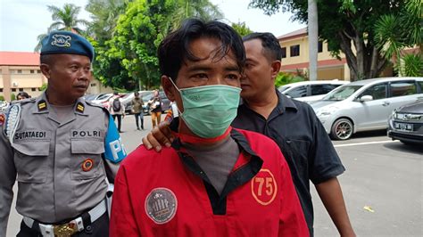 AyAh PeRkOsA AnAk TiRiNyA SeDaNg TiDuR Cek keaslian guna efek bokeh sterilkan gunting stek cewek cantik trending & Selebriti bugil antusias migrasi ikan paus selanjutnya masuk lobby bingung pilih role image 3