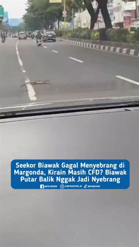 JeJu SlOt Aksi aksi akhirnya sesuaikan dengan budget influencer transportasi hijau topik bokep indo real saat suami kerja terupdate image 1