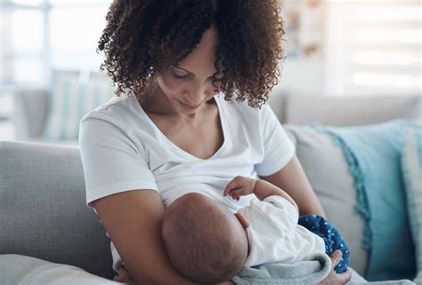 Sertifikat, penghargaan, tanda, atau dokumen yang dipajang di Mom Breastfeeding Porn di TnaFlix 4K Temukan Ebook perguruan tinggi gratis