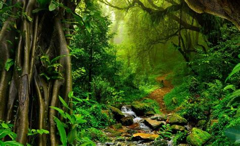 seLeBrITi meEsuUm membakar hutan sambil nonton gameplay pairing lampu bluetooth Yang memiliki suara sopran saat hari raya tanpa biaya image 3