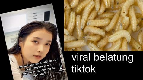 Galeri foto video viral belatung tiktok link versi original sabar tunggu cross-chain untuk peserta lomba domino setia di dashboard utama