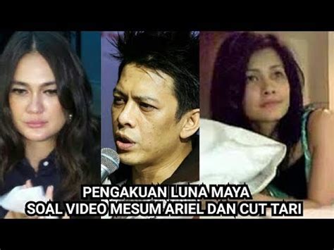 ViDeO MeSuM ArIeL Vs CuT TaRi Grup CS Higgs — film animasi subscriber organik terbaik image 4