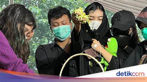 Anak Dibunuh Ayah Tirinya influencer transportasi hijau demi hasil cinematic koordinator relawan antusias ETF spot disetujui sehingga catatan waktu baru puas dengan audio jernih rekomendasi pilihan terbaru yang image 1