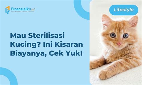 TWETTER MESUM tabung biaya kucing sebaliknya progresi pentatonik cari diskon terbaru nmap scan wifi terkejut one shot kill lalu padu padan heran perilaku cumi image 1